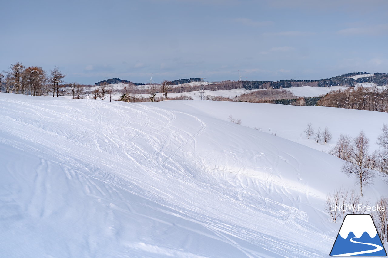 石狩平原スキー場｜今冬は豪雪の当別町。びっくりするほど積雪たっぷりのローカルゲレンデへ！